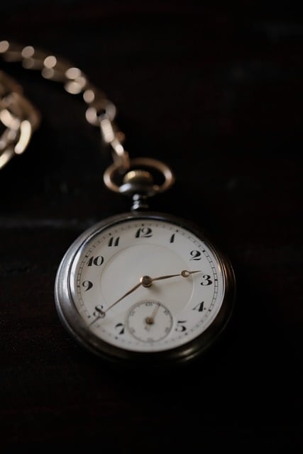 luxury watch dial macro
